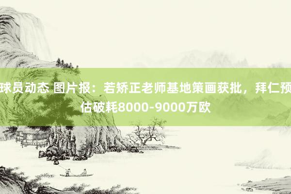 球员动态 图片报：若矫正老师基地策画获批，拜仁预估破耗8000-9000万欧