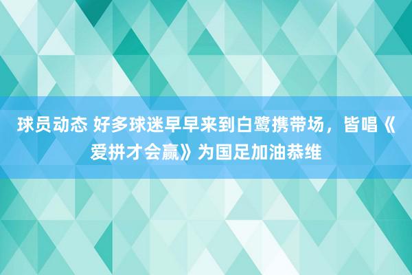 球员动态 好多球迷早早来到白鹭携带场，皆唱《爱拼才会赢》为国足加油恭维