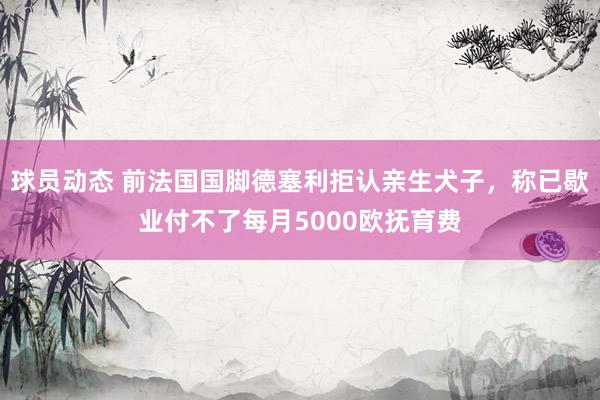 球员动态 前法国国脚德塞利拒认亲生犬子，称已歇业付不了每月5000欧抚育费