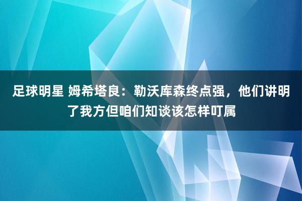 足球明星 姆希塔良：勒沃库森终点强，他们讲明了我方但咱们知谈该怎样叮属